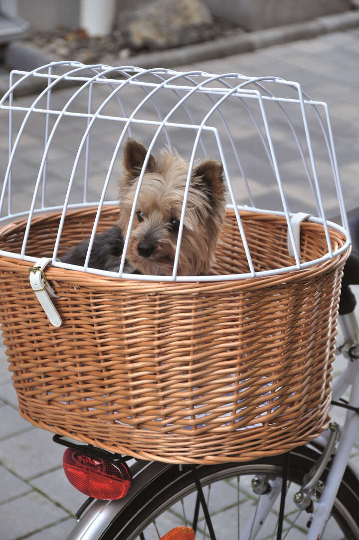 AUMÜLLER Aumüller Fahrrad-Tierkorb Gepäckträger